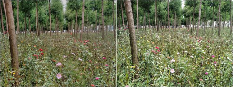 360手机n7pro测评,360n7pro跟哪款手机对比功能