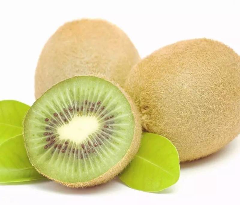 英语水果手抄报简笔画,紫色水果有哪些简笔画