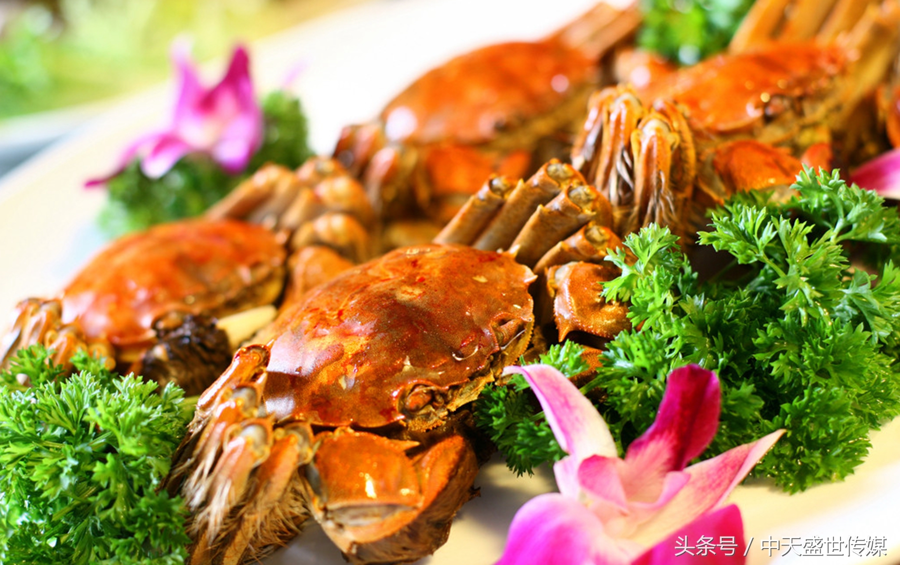 嘉鱼山湖温泉推荐,嘉鱼爱马仕