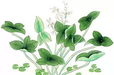 娴欐睙鐪佷腑鍖绘不鐤楅摱灞戠梾,鍏勫紵淇╅兘寰楃櫧鐧滈