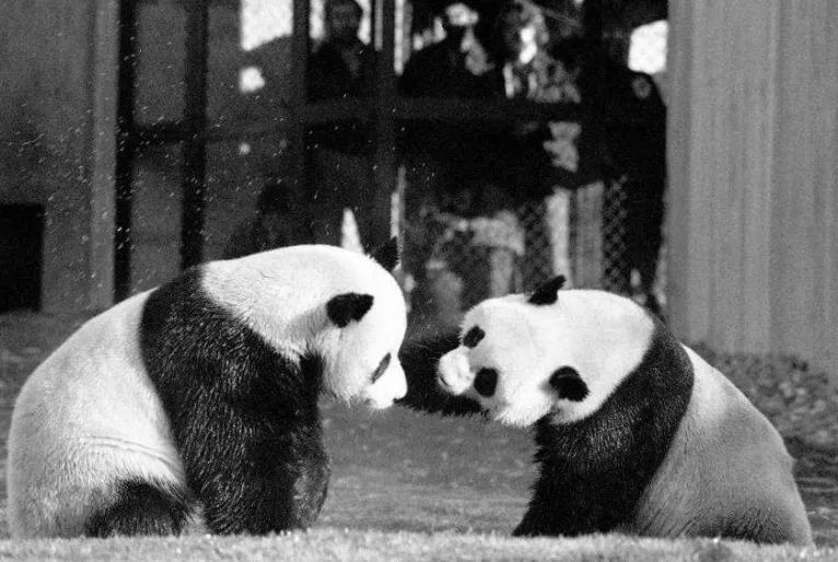 美国送给中国的国礼分别都有什么,美国总统送的礼物