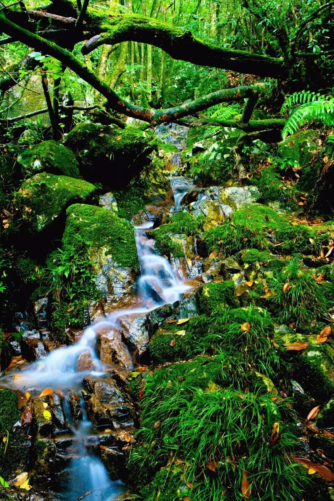 浙南绝美秘境,浙南生态秘境自驾