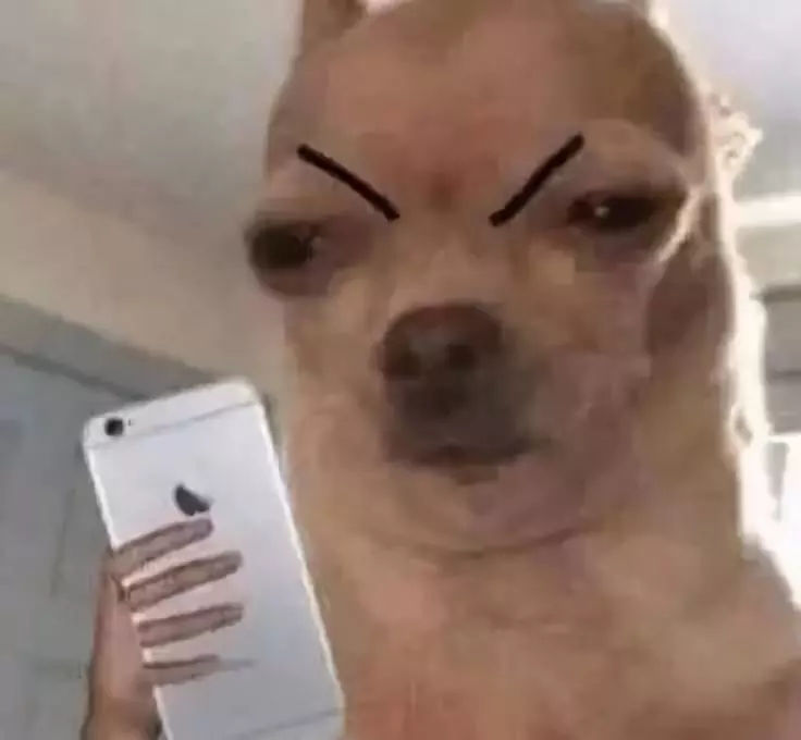 怀念没有家长群的日子,小时候没家长群