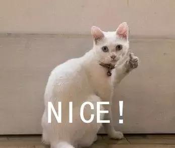 网上特别火的电话推销小姐姐,95开头的推销电话哪儿来的