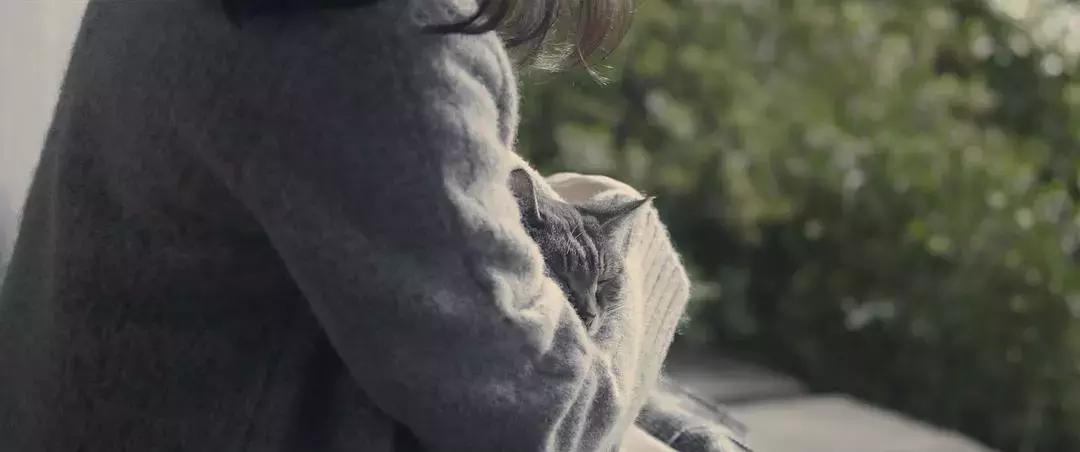 对象玩手机不理你时，怎么办？