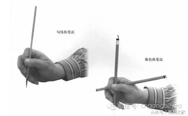 国画工笔菊花的画法视频,线描菊花画谱