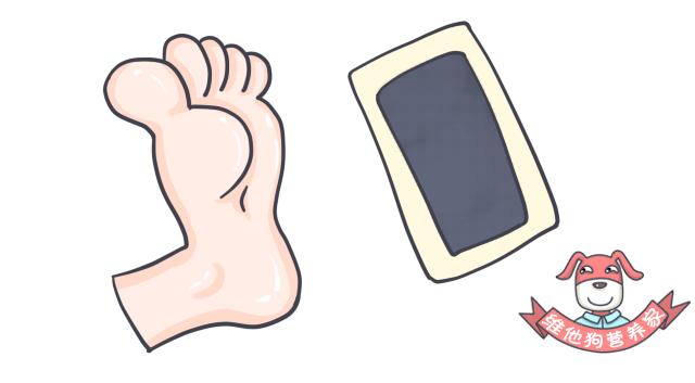 大麦若叶青汁可以清肠吗,足贴真的排毒减肥吗