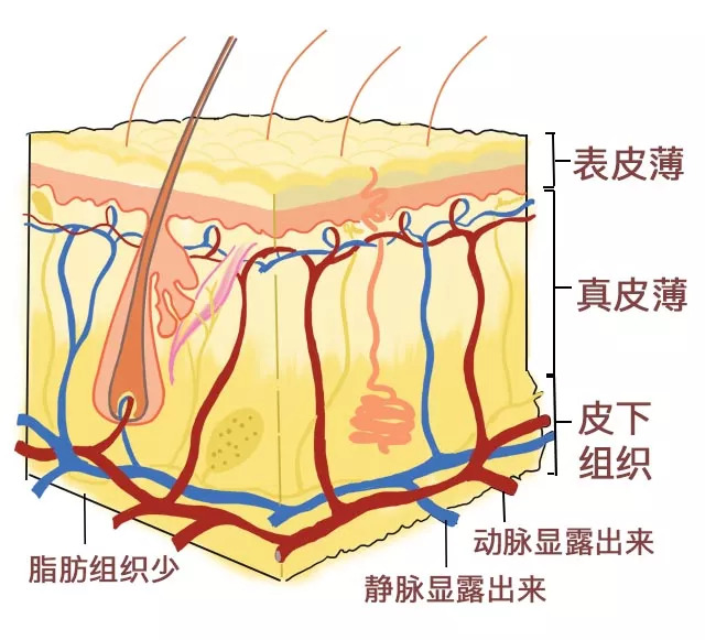 黑眼圈怎么去除最快方法,黑眼圈怎么去除最有效的方法