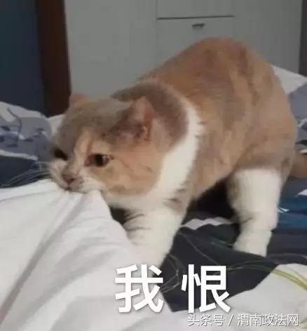 网上特别火的电话推销小姐姐,最近很火的推销电话号码