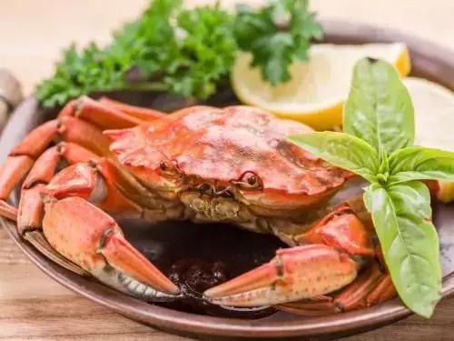 头皮发麻有虫怎么办,头皮发麻有小虫爬