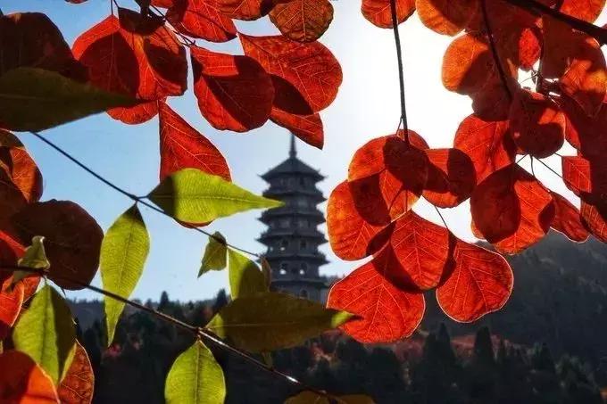 10月新低！广州出发机票仅180块！坐飞机玩转抖音最火网红地