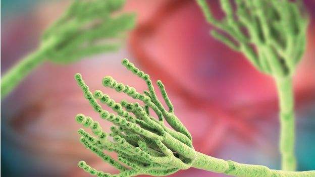 孕期如何做到情绪稳定,孕期怎么让自己情绪稳定