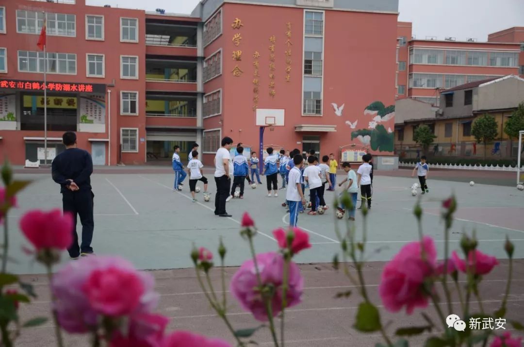 奔跑吧武安,奔跑吧足球小将活动视频