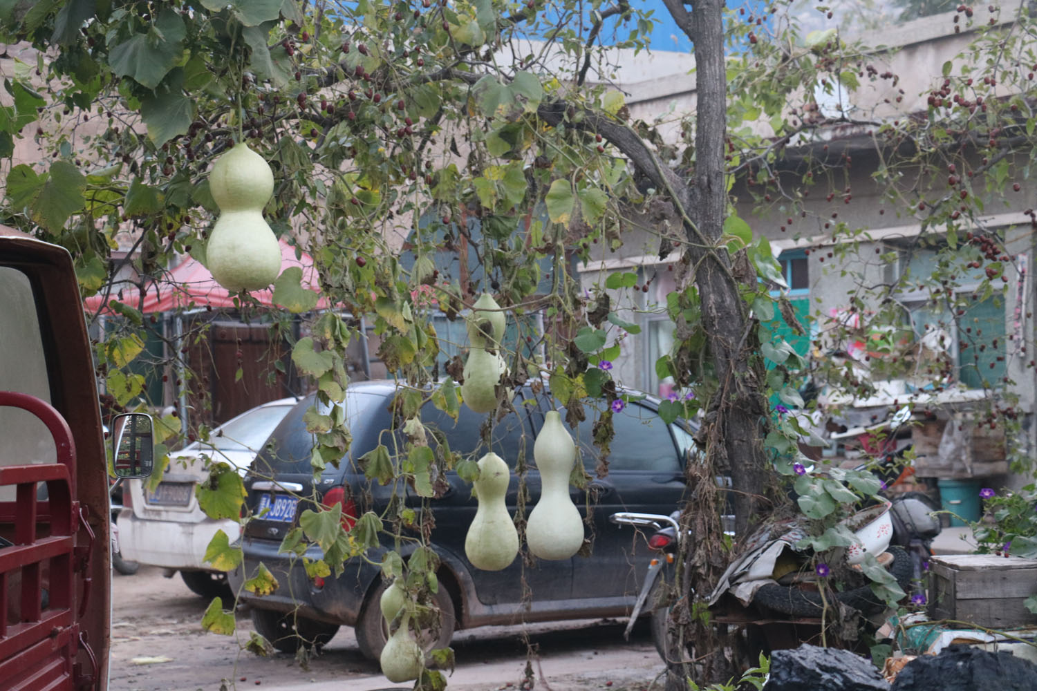 碛口古镇的油条和豆腐脑