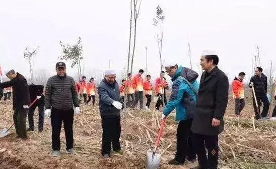 「身边的榜样向善的力量」“正能量传播者”石志光｜41年3600场群众身边的免费电影放映员