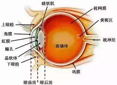眼镜的正确使用和错误使用图片,正确的用眼方法和保护眼睛的方法