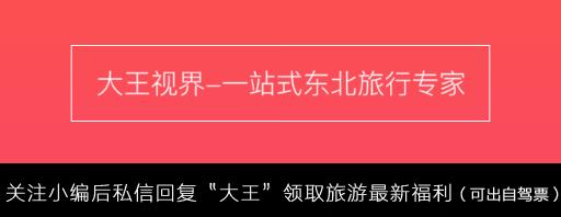 各国机场免税店必买,成田机场免税店购物必买清单