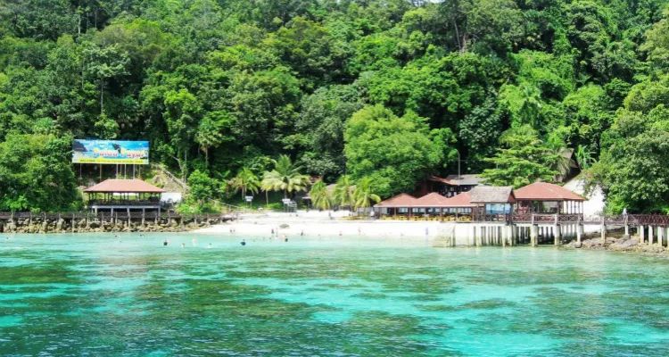 李茶的姑妈海景大别墅,李茶的姑妈在马来西亚