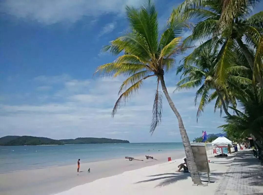 李茶的姑妈海景大别墅,李茶的姑妈在马来西亚