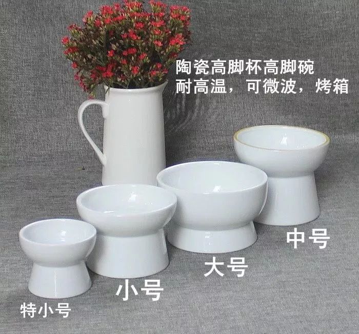 哈哈哈哈哈哈哈哈这届猫奴的智商有点高!