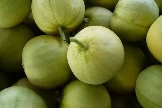 辽宁盛产什么水果,辽宁省各市食物特色