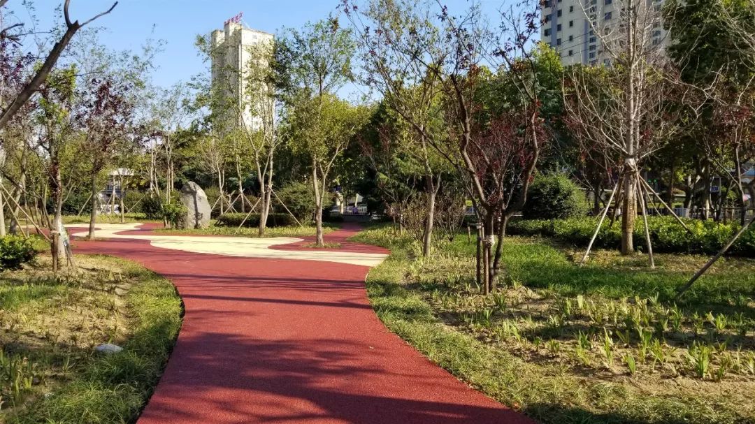 美了美了钢琴曲二胡,美了美了越南红歌