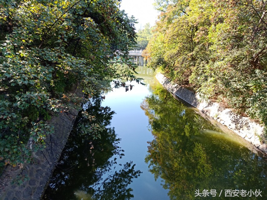 西安兴庆公园合唱团直播,西安兴庆公园歌手