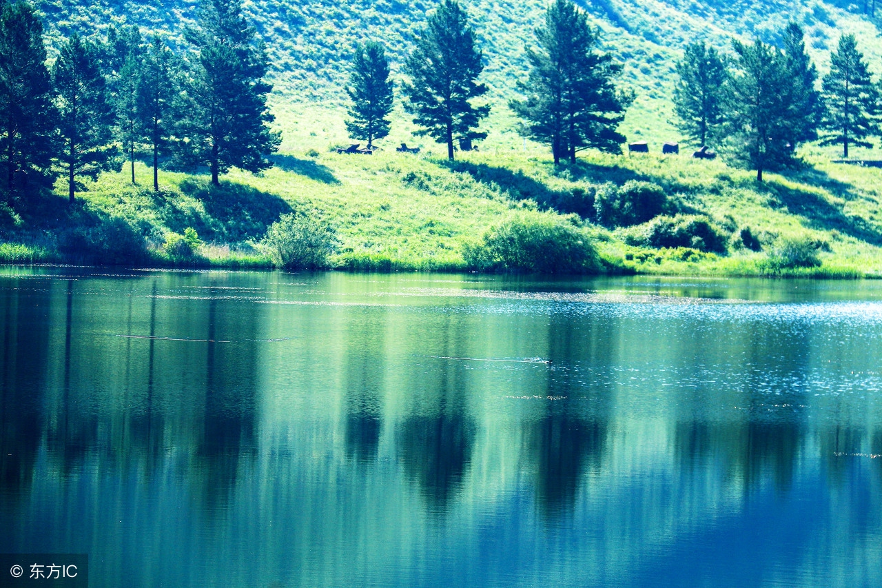 英语感恩美文,英语美文经典