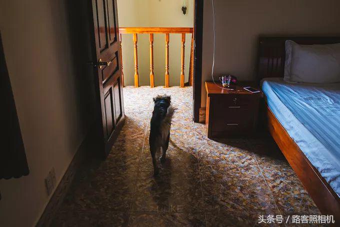 铚傞娓歌,鑺藉簞铚傞娓歌