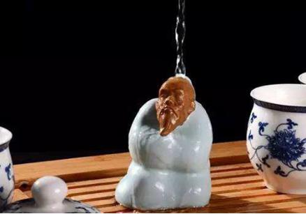 如何正确的养茶宠猫,养猫养狗说说