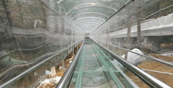 广州最刺激的漂流,广州长隆漂流