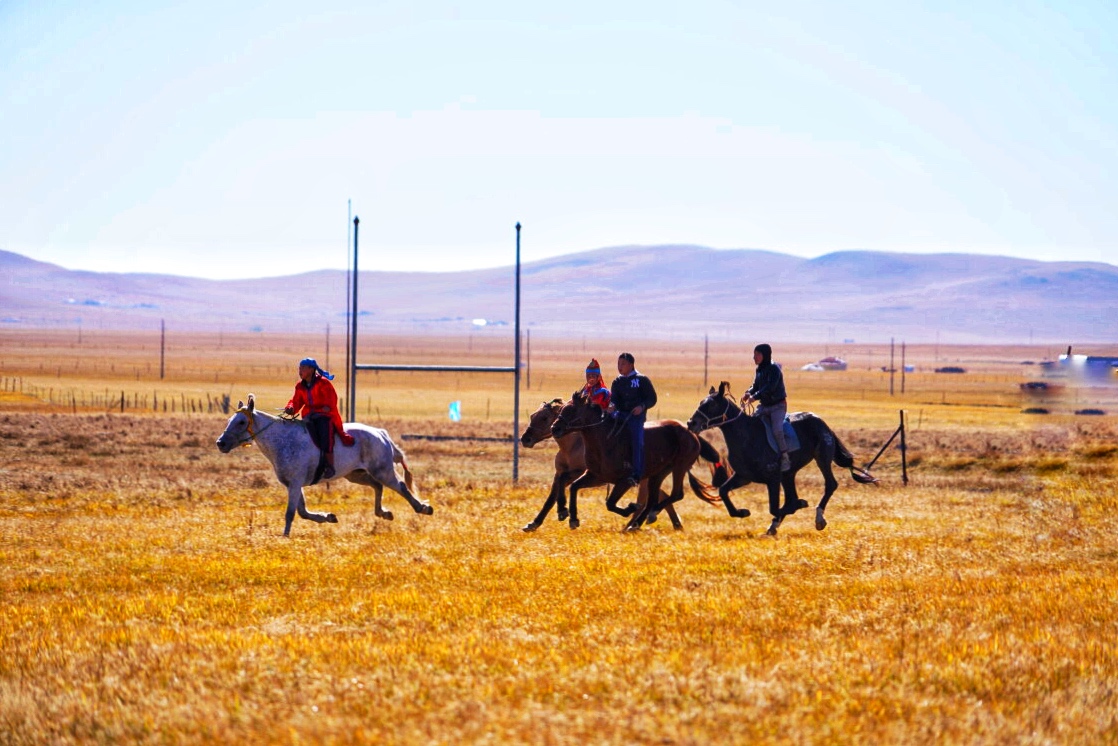 锡林郭勒大草原冬天旅游攻略,锡林郭勒大草原旅游攻略全部