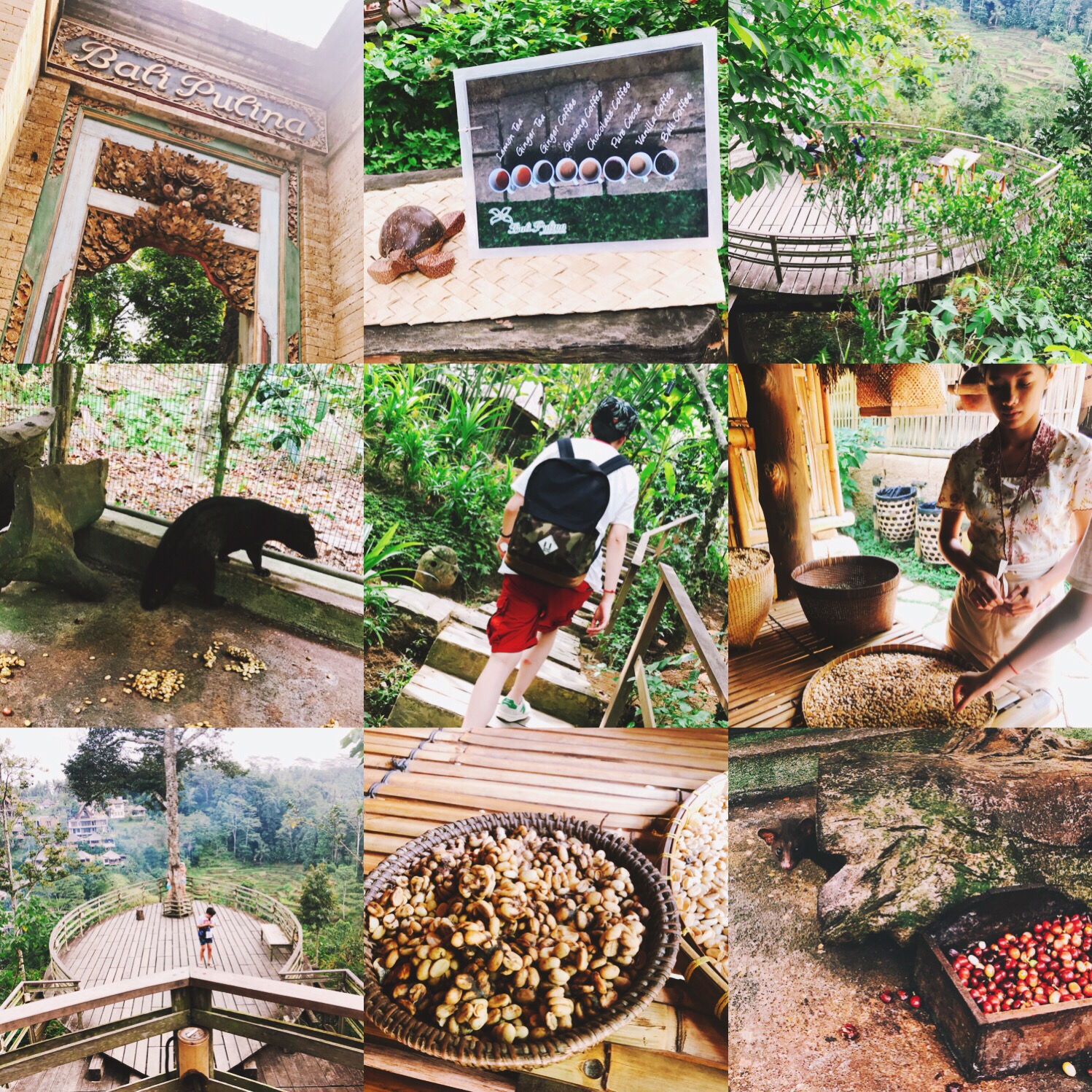 巴厘岛旅游梯田午餐,巴厘岛梯田火山一日游