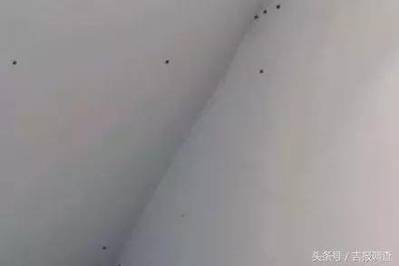 “花大姐”来袭！虽是益虫也可能会导致过敏，医生提醒：别穿太艳