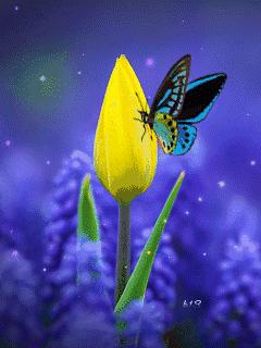 10张会动的照片,11张会动的图片