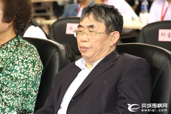 大湾区青少年围棋大赛,粤港澳大湾区围棋联赛