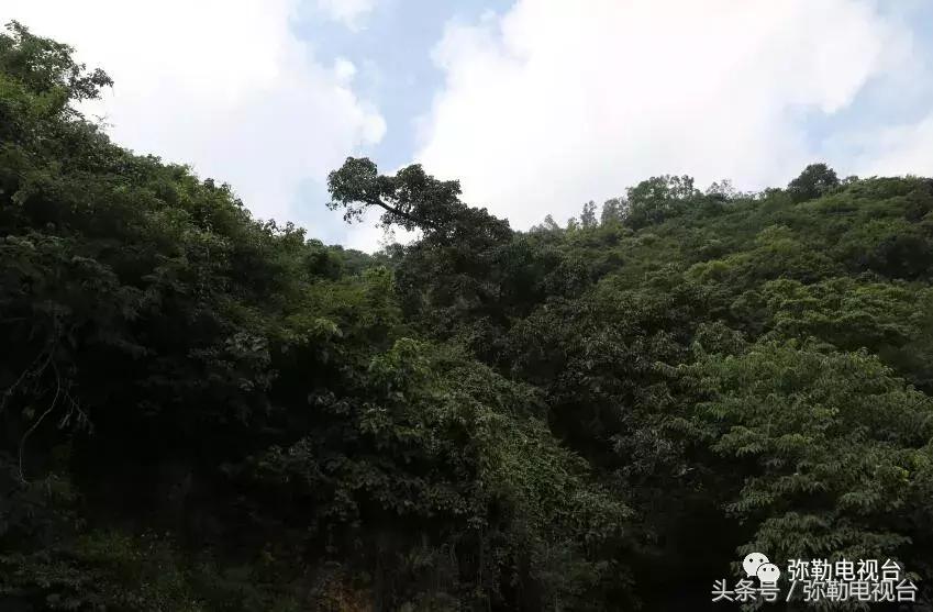 云南红河弥勒瀑布,弥勒滴水滩瀑布