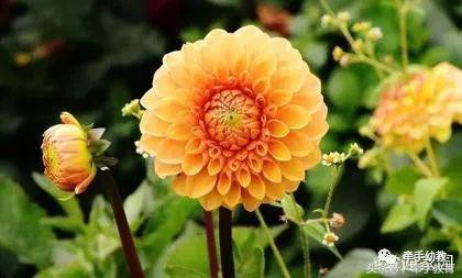 已经完全不信任家长了怎么办,家长不信任教师咋办