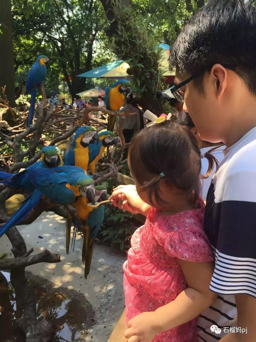 骞垮窞闀块殕椋為笩涔愬洯绁ㄤ环,闀块殕椋為笩涔愬洯灏忓绁ㄤ环