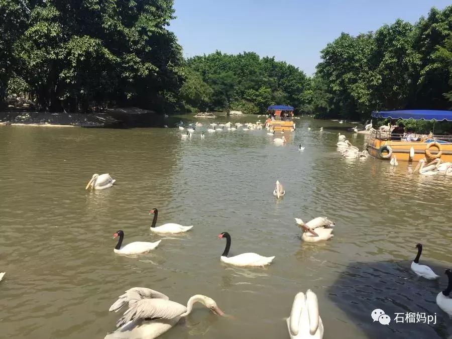 骞垮窞闀块殕椋為笩涔愬洯绁ㄤ环,闀块殕椋為笩涔愬洯灏忓绁ㄤ环