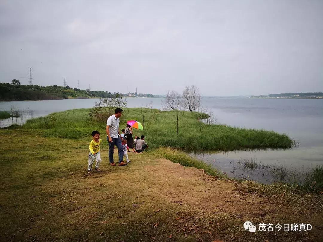 茂名露天矿环湖规划设想,茂名露天矿重大项目开工