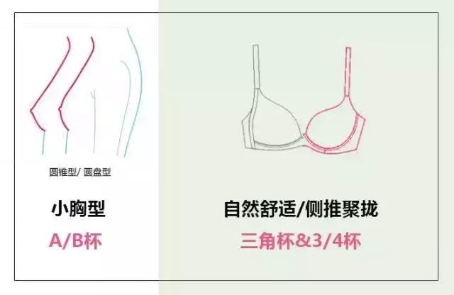 内衣选好反而显瘦,内衣选小号显小还是大号显小