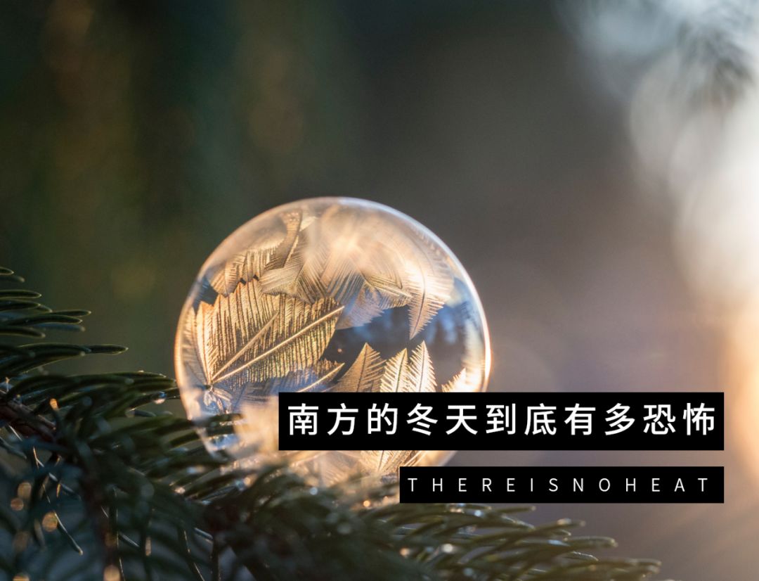 在冬天如何生存,怎么在广东活下去