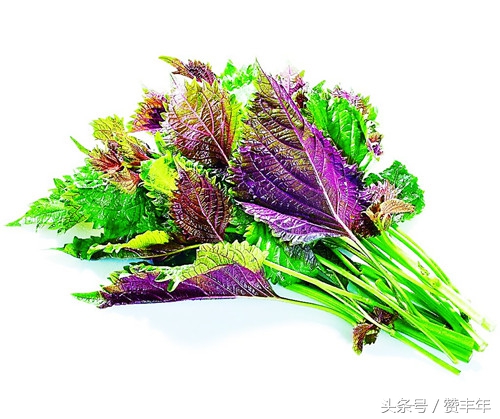 农人创业项目推荐,农人创业创新项目