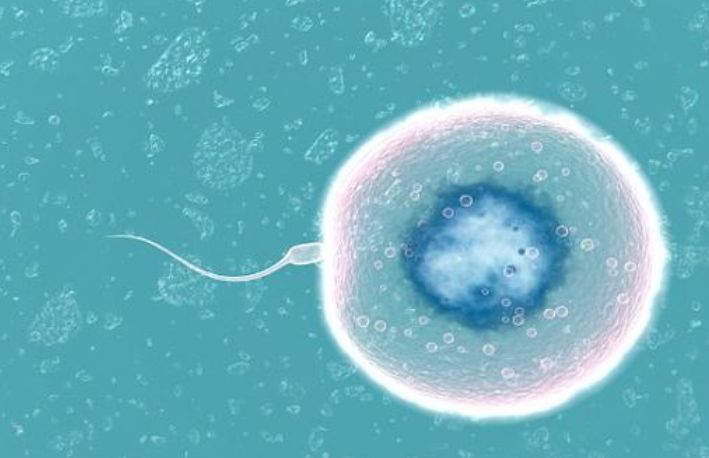 男人“生育能力”好不好？看这3个方面或许就能知道，别不好意思