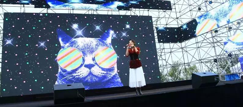 朴里节闭幕,朴里节晚会现场