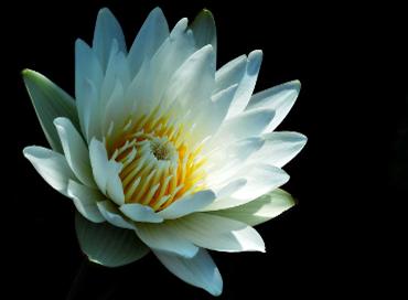 单反数码摄影入门教程,数码单反摄影进阶完全教程