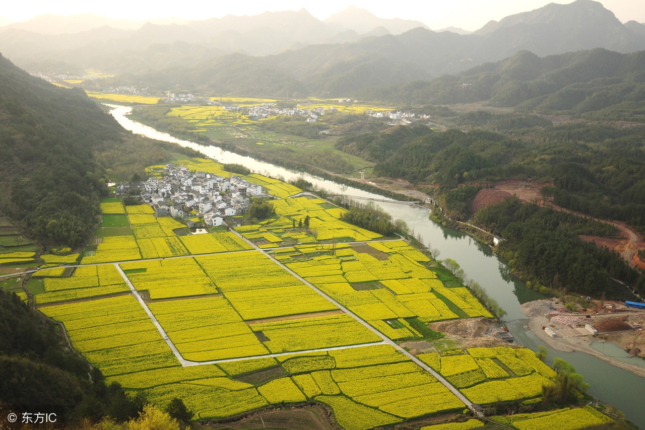 江苏4万多个家庭农场前景喜人农村真的越来越值钱?