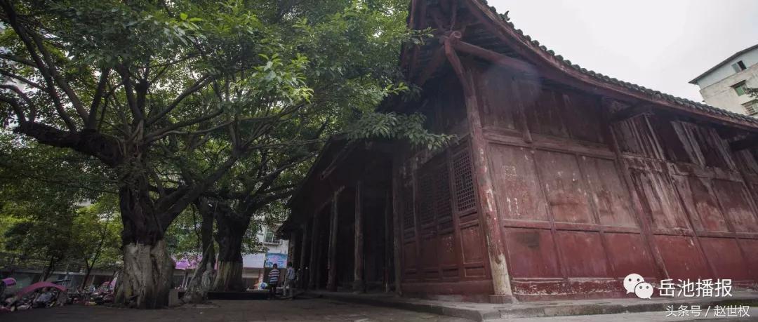 岳池最近发展,岳池未来如何发展