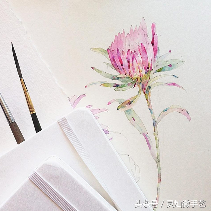 眼前一亮清雅通透的水彩作品,好看又简单的水彩教程